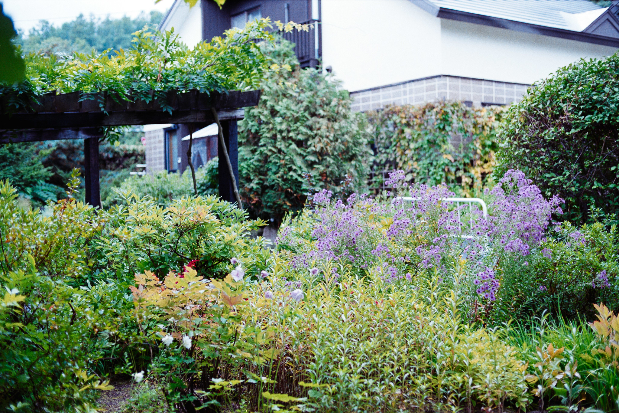 Struggling with Photography on Vacation