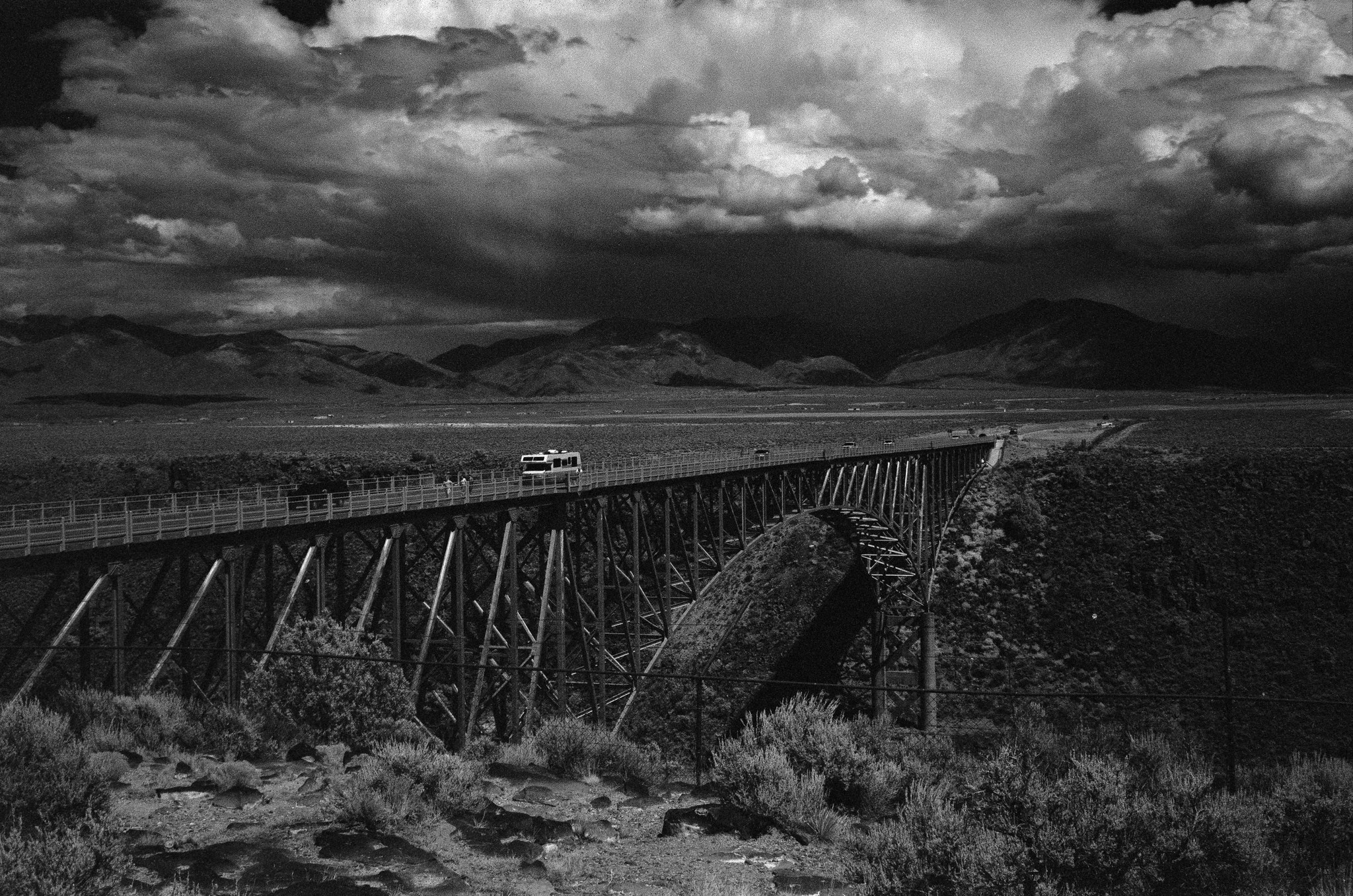 My First Roll of Rollei IR