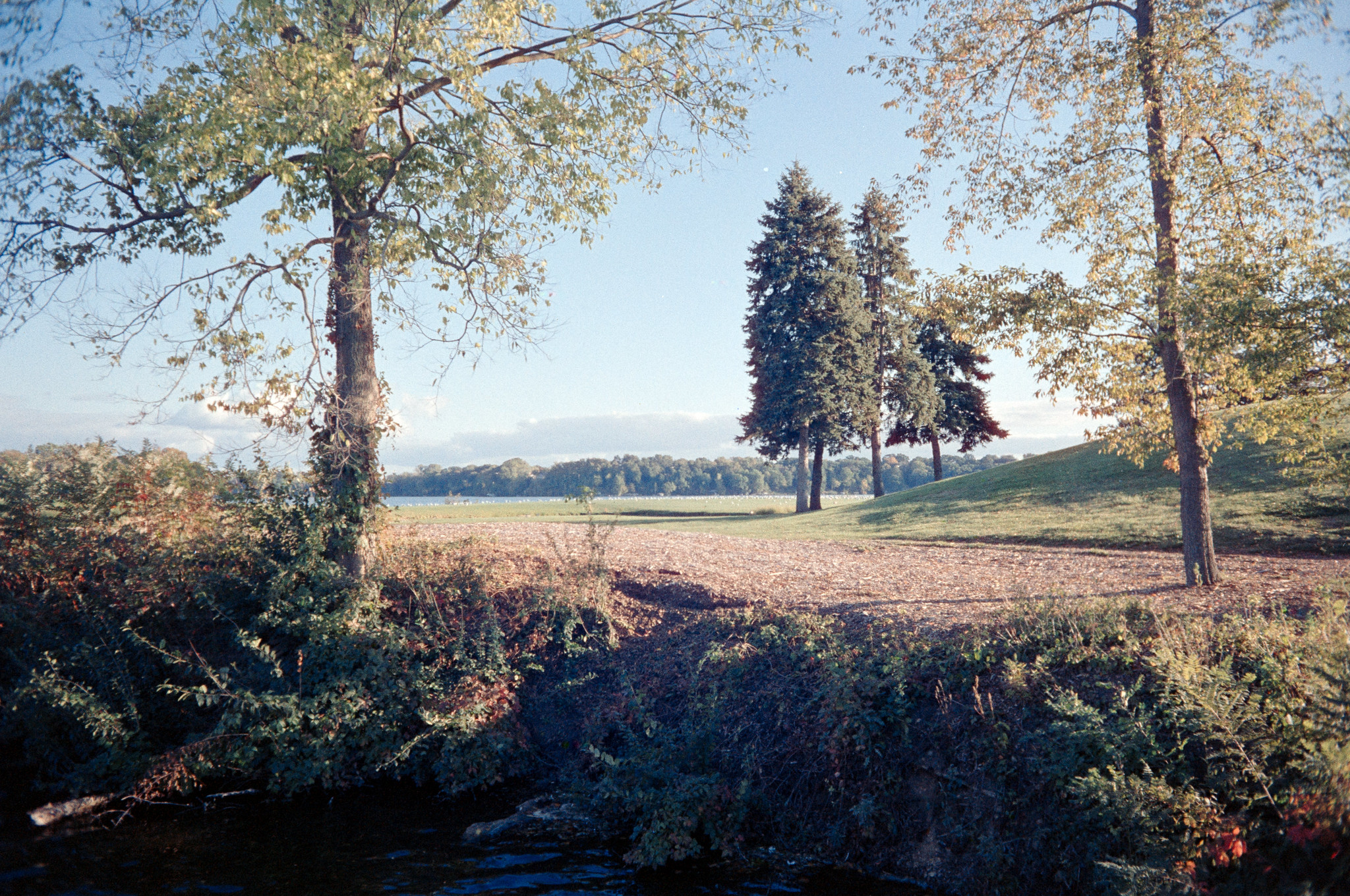 Orwo Wolfen NC200 First Impressions