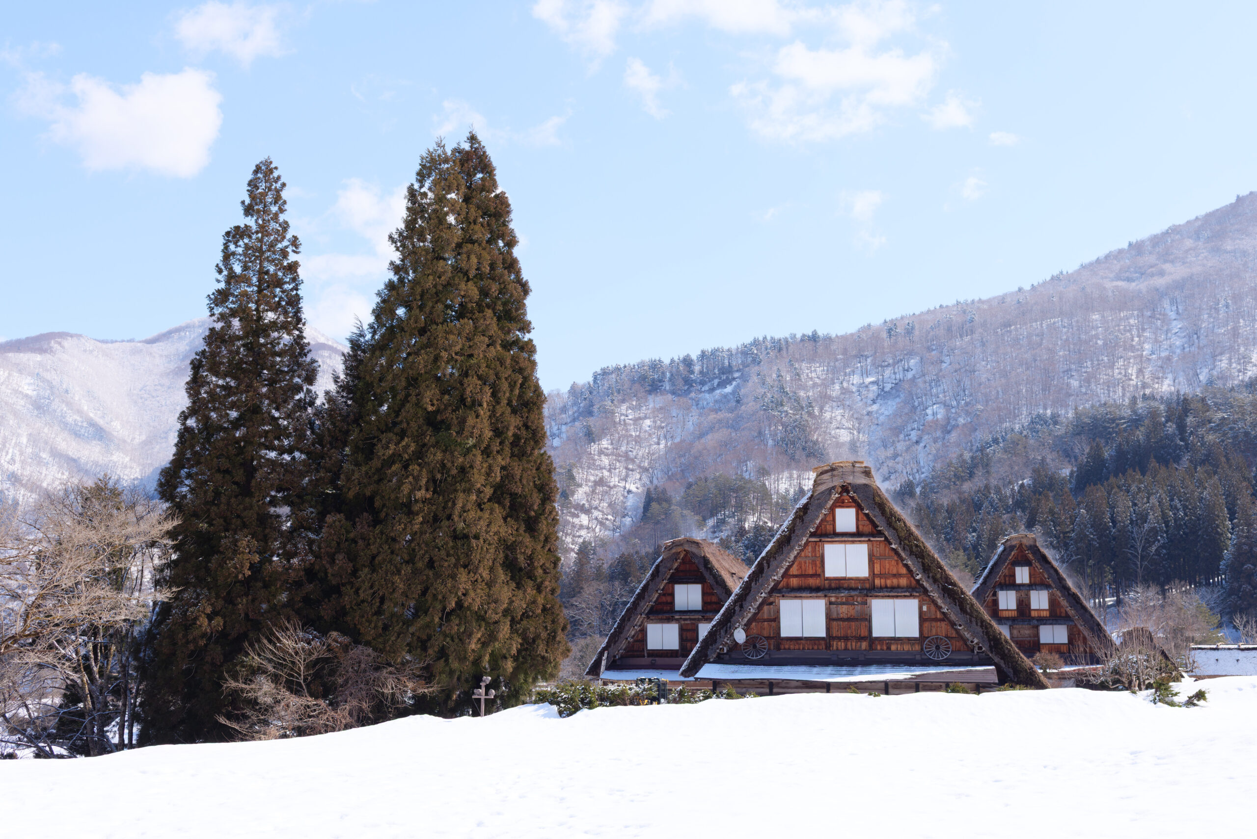 Fixing Adobe’s Shit